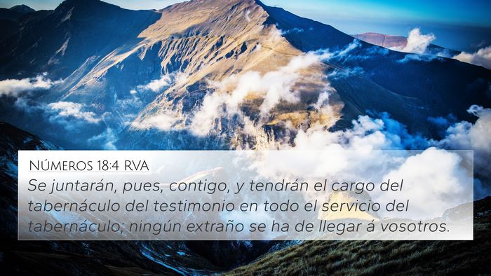 Números 18:4 RVA Bible Verse Image