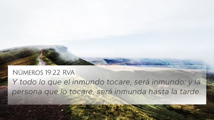 Números 19:22 RVA Bible Verse Image