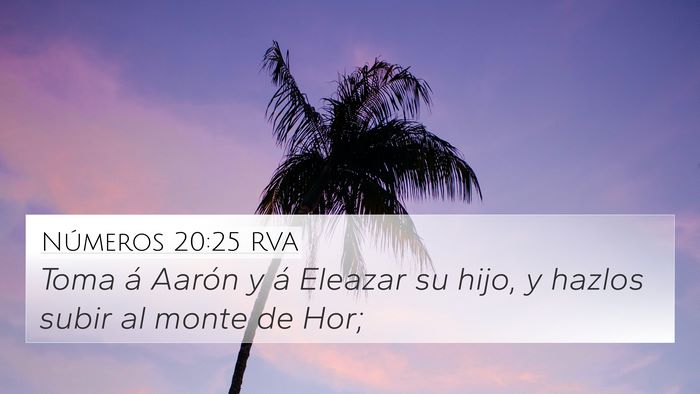 Números 20:25 RVA 4K Wallpaper - Toma á Aarón y á Eleazar su hijo, y hazlos - 4K Wallpaper Bible Verse
