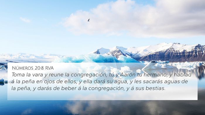 Números 20:8 RVA Bible Verse Image