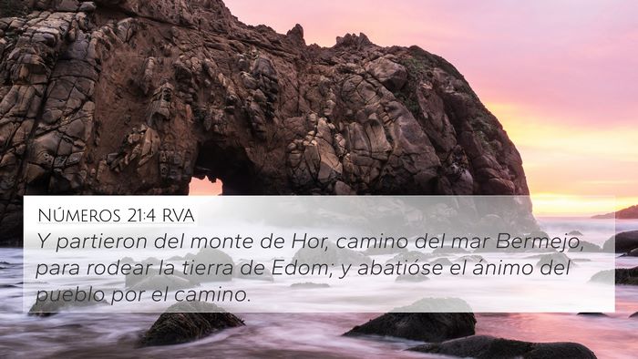 Números 21:4 RVA Bible Verse Image