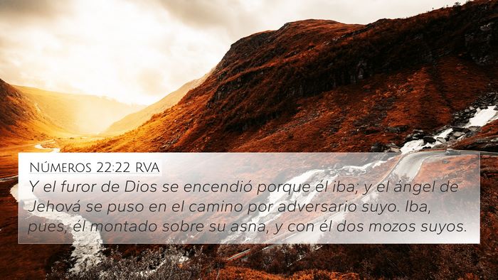 Números 22:22 RVA Bible Verse Image