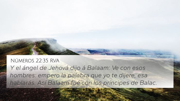 Números 22:35 RVA Bible Verse Image