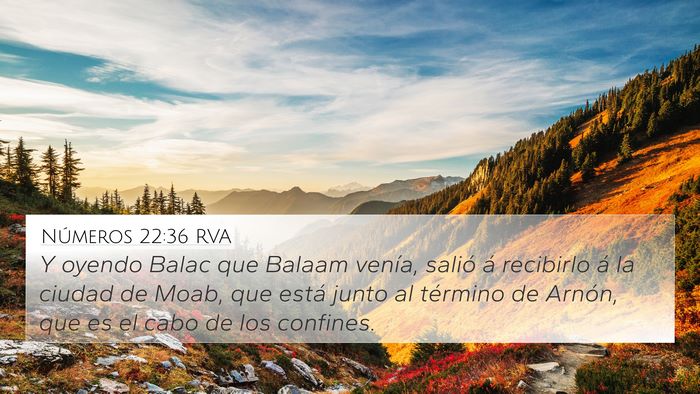 Números 22:36 RVA 4K Wallpaper - Y oyendo Balac que Balaam venía, salió á - 4K Wallpaper Bible Verse