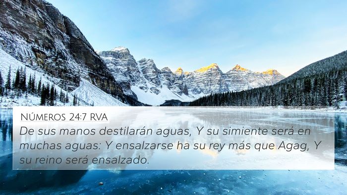 Números 24:7 RVA Bible Verse Image