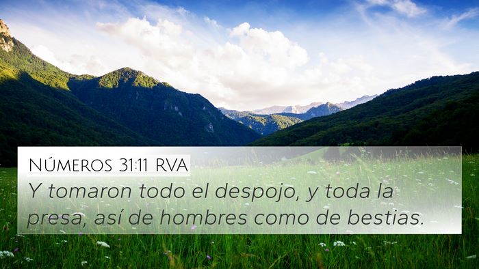 Números 31:11 RVA Bible Verse Image