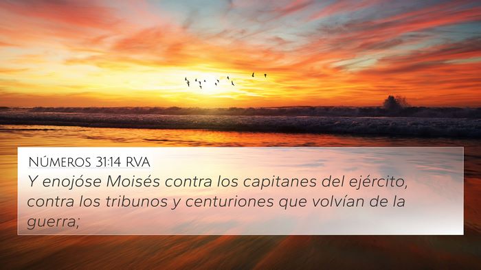 Números 31:14 RVA 4K Wallpaper - Y enojóse Moisés contra los capitanes del - 4K Wallpaper Bible Verse