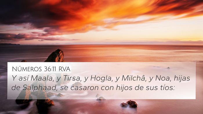 Números 36:11 RVA 4K Wallpaper - Y así Maala, y Tirsa, y Hogla, y Milchâ, y Noa, - 4K Wallpaper Bible Verse