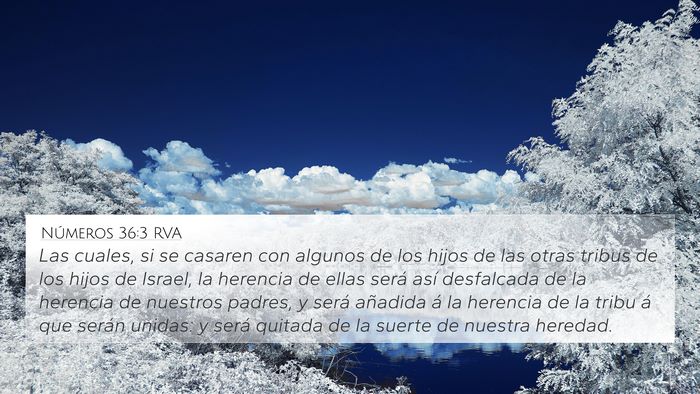 Números 36:3 RVA 4K Wallpaper - Las cuales, si se casaren con algunos de los - 4K Wallpaper Bible Verse