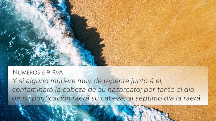 Números 6:9 RVA Bible Verse Image
