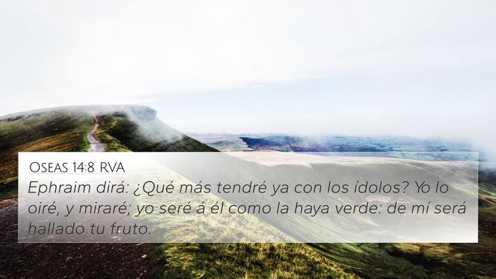 Oseas 14:8 RVA Bible Verse Image