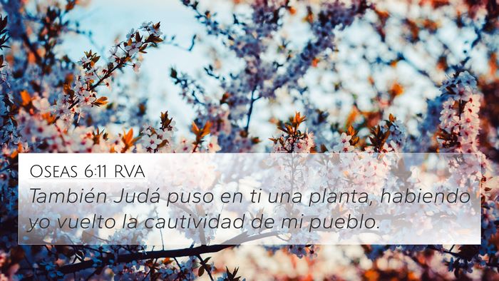 Oseas 6:11 RVA Bible Verse Image