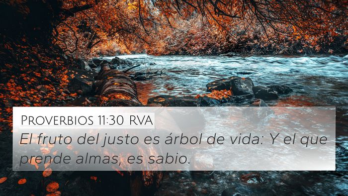 Proverbios 11:30 RVA Bible Verse Image