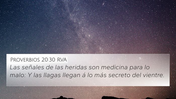 Proverbios 20:30 RVA Bible Verse Image