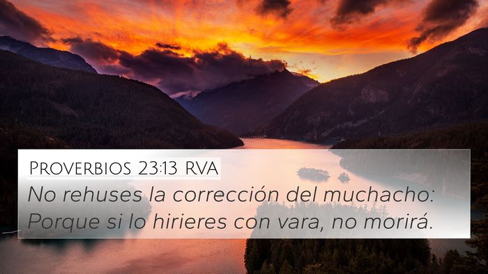 Proverbios 23:13 RVA Bible Verse Image