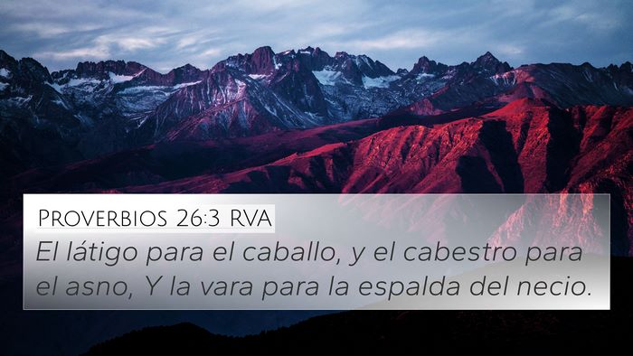 Proverbios 26:3 RVA Bible Verse Image