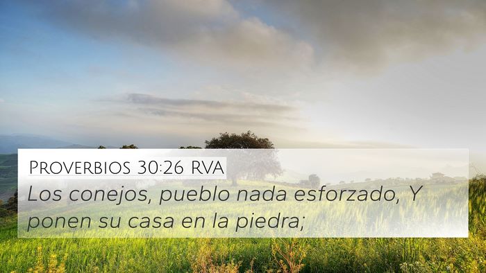 Proverbios 30:26 RVA Bible Verse Image