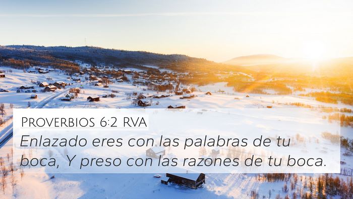 Proverbios 6:2 RVA Bible Verse Image