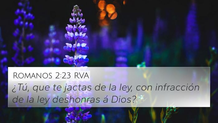 Romanos 2:23 RVA 4K Wallpaper - ¿Tú, que te jactas de la ley, con infracción - 4K Wallpaper Bible Verse