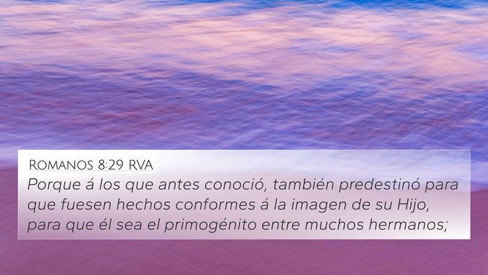 Romanos 8:29 RVA Bible Verse Image