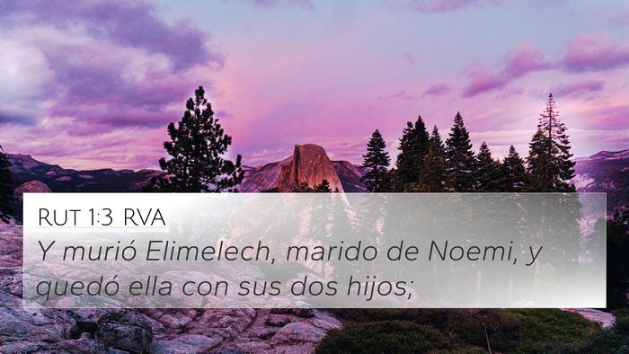 Rut 1:3 RVA 4K Wallpaper - Y murió Elimelech, marido de Noemi, y quedó - 4K Wallpaper Bible Verse