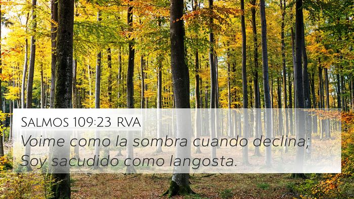 Salmos 109:23 RVA Bible Verse Image
