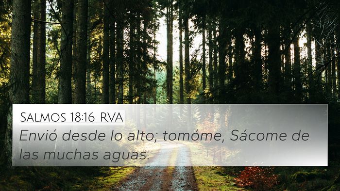 Salmos 18:16 RVA Bible Verse Image
