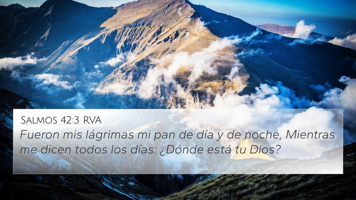 Salmos 42:3 RVA 4K Wallpaper - Fueron mis lágrimas mi pan de día y de noche, - 4K Wallpaper Bible Verse