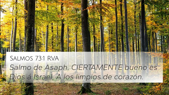 Salmos 73:1 RVA Bible Verse Image