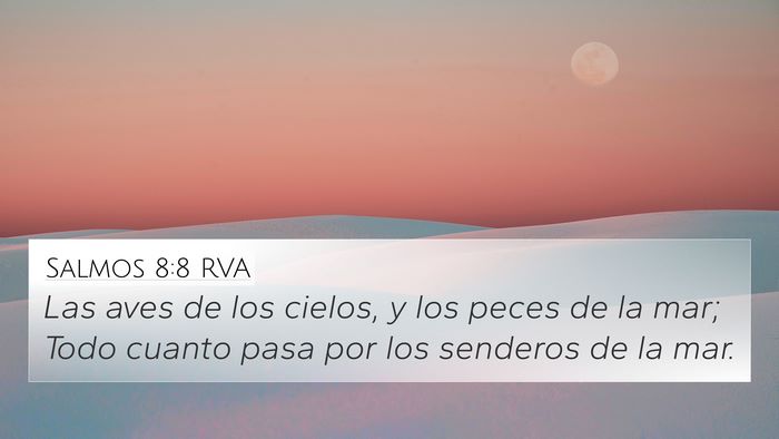 Salmos 8:8 RVA Bible Verse Image