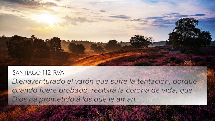 Santiago 1:12 RVA Bible Verse Image