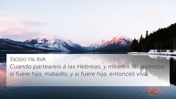 Éxodo 1:16 RVA Bible Verse Image