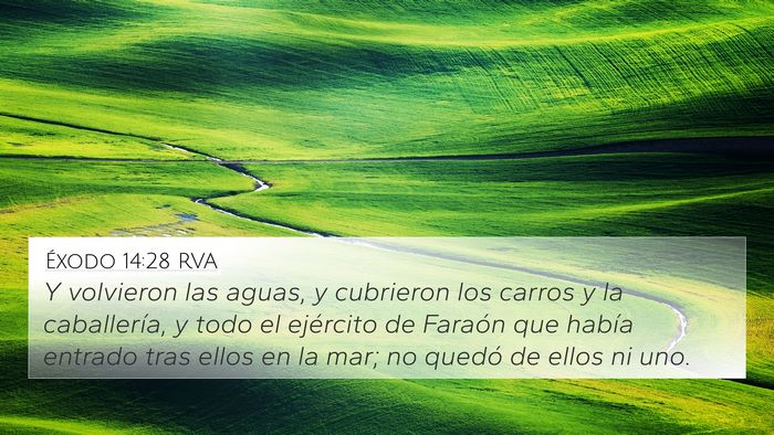 Éxodo 14:28 RVA Bible Verse Image