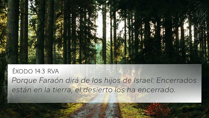 Éxodo 14:3 RVA Bible Verse Image