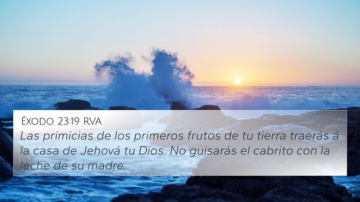 Éxodo 23:19 RVA Bible Verse Image