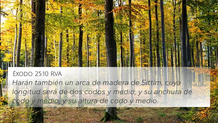 Éxodo 25:10 RVA Bible Verse Image