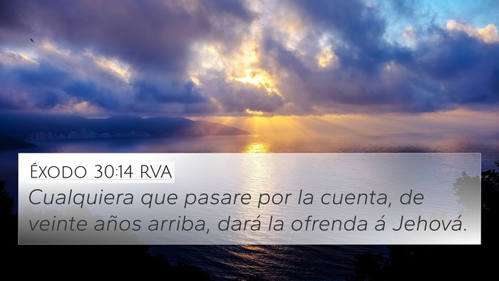 Éxodo 30:14 RVA 4K Wallpaper - Cualquiera que pasare por la cuenta, de veinte - 4K Wallpaper Bible Verse