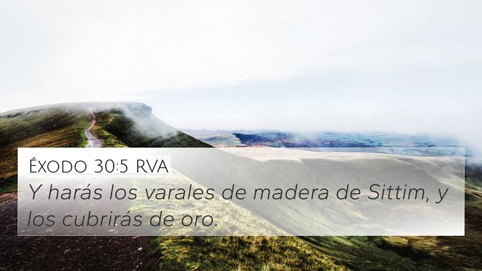 Éxodo 30:5 RVA 4K Wallpaper - Y harás los varales de madera de Sittim, y los - 4K Wallpaper Bible Verse