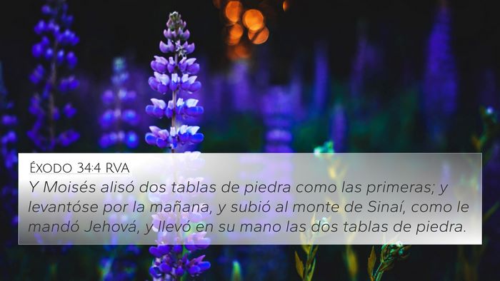 Éxodo 34:4 RVA Bible Verse Image
