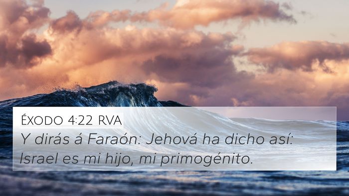 Éxodo 4:22 RVA Bible Verse Image