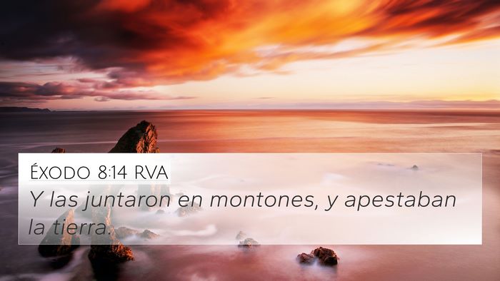 Éxodo 8:14 RVA 4K Wallpaper - Y las juntaron en montones, y apestaban la - 4K Wallpaper Bible Verse