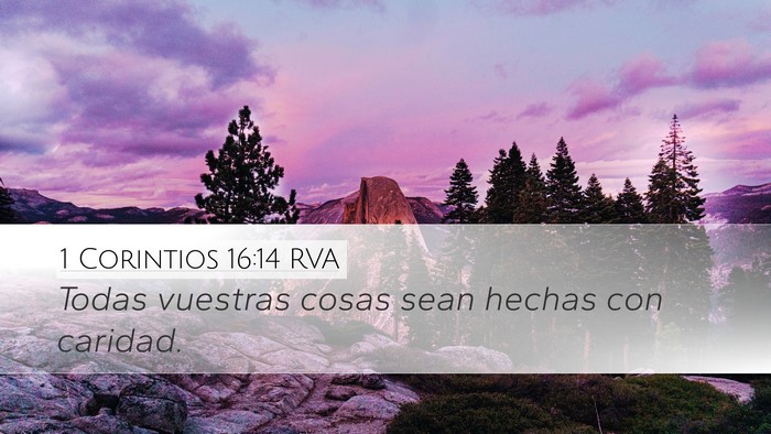1 Corintios 16:14 RVA Bible Verse Image