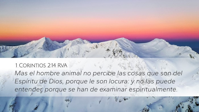 1 Corintios 2:14 RVA Bible Verse Image