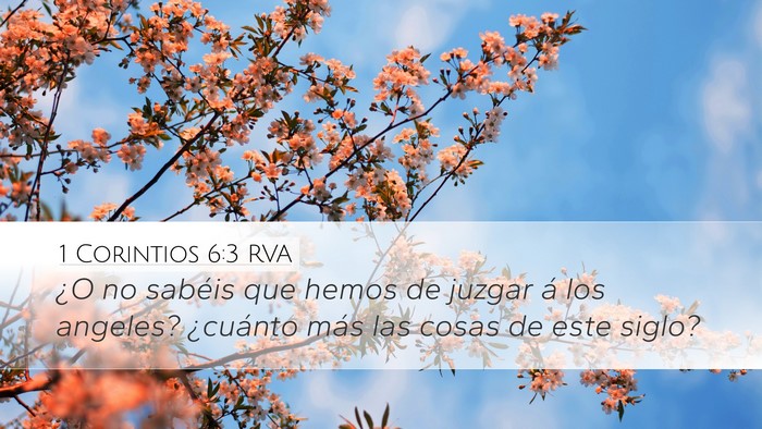 1 Corintios 6:3 RVA Desktop Wallpaper - ¿O no sabéis que hemos de juzgar á los - Desktop Bible Verse Wallpaper