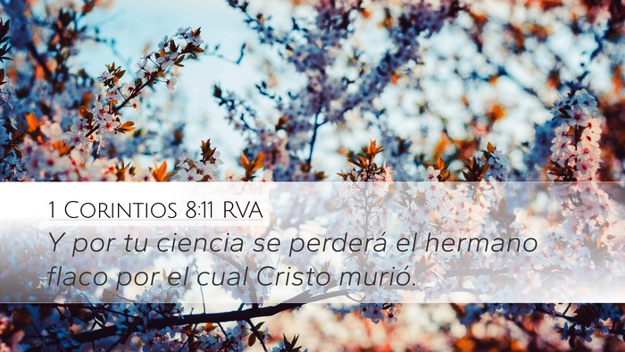 1 Corintios 8:11 RVA Bible Verse Image