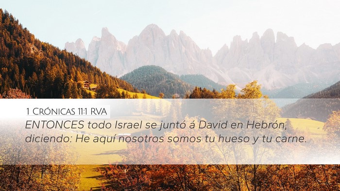 1 Crónicas 11:1 RVA Bible Verse Image
