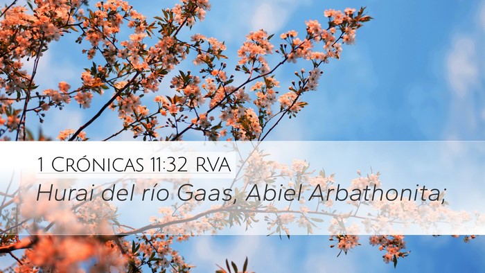 1 Crónicas 11:32 RVA Desktop Wallpaper - Hurai del río Gaas, Abiel - Desktop Bible Verse Wallpaper