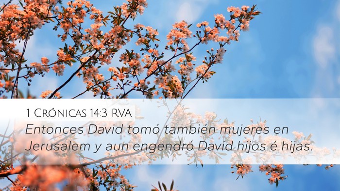 1 Crónicas 14:3 RVA Bible Verse Image
