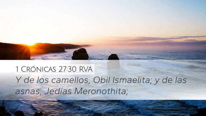 1 Crónicas 27:30 RVA Desktop Wallpaper - Y de los camellos, Obil Ismaelita; y de las - Desktop Bible Verse Wallpaper
