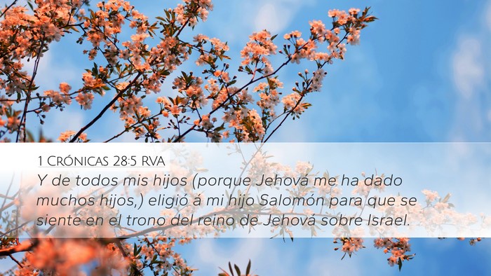 1 Crónicas 28:5 RVA Bible Verse Image